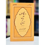 Hangamon Main Zindagi - ہنگاموں میں زندگی