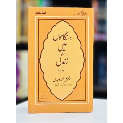 Hangamon Main Zindagi - ہنگاموں میں زندگی Hangamon Main Zindagi - ہنگاموں میں زندگی
