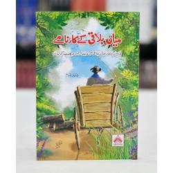 Mian Bulaqi Kay Karnamy - میاں بلاقی کے کارنامے Mian Bulaqi Kay Karnamy - میاں بلاقی کے کارنامے