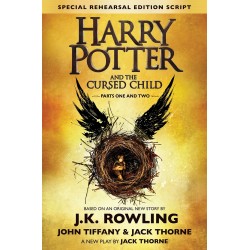 Harry Potter And The Cursed Child Harry Potter And The Cursed Child