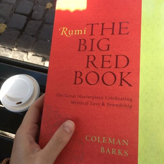 The Big Red Book The Big Red Book