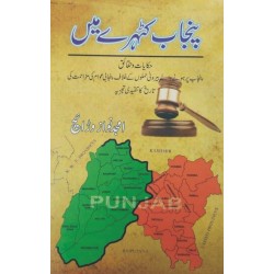 Punjab Katehry Main - پنجاب کٹہرے میں