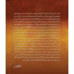 Tareekh Sultanat e Usmania (Deluxe Edition) - تاریخ سلطنت عثمانیہ