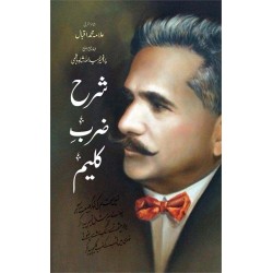 Sharah Zarb e Kaleem By Prof. Hameed Ullah Shah Hashmi - شرح ضرب کلیم
