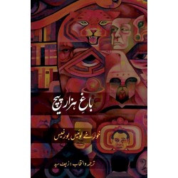 Bagh e Hazar Paich - باغ ہزار پیچ Bagh e Hazar Paich - باغ ہزار پیچ