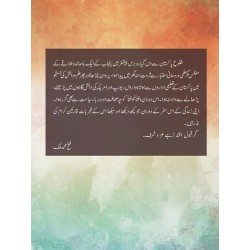 Ashiyana Ghurbat Say Ashiyan Dar Ashiyan - آشیانہ غربت سے آشیاں در آشیاں