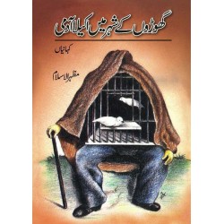 Ghoron Kay Shehar Main Akela Admi - گھوڑوں کے شہر میں اکیلا آدمی Ghoron Kay Shehar Main Akela Admi - گھوڑوں کے شہر میں اکیلا آدمی