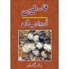 Falasten Urdu Adab Main - فلسطین اردو ادب میں