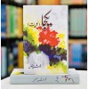 Kulyat e Khurshid Rizvi (4 Books Combined Edition) - یکجا کلیات خورشید رضوی
