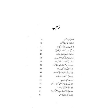 Muhasray Ka Roznamcha - 3 - محاصرے کا روزنامچہ Muhasray Ka Roznamcha - 3 - محاصرے کا روزنامچہ
