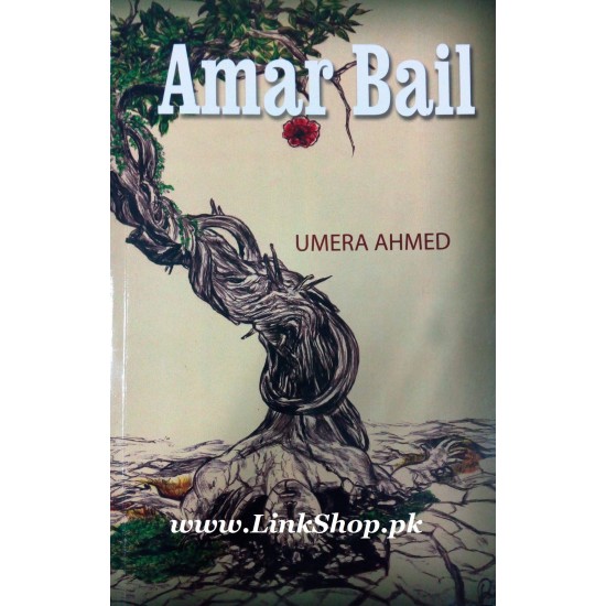 Amar Bail (English Version)