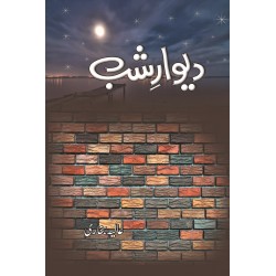 Deewar e Shab (Complete Set) - دیوار شب Deewar e Shab (Complete Set) - دیوار شب