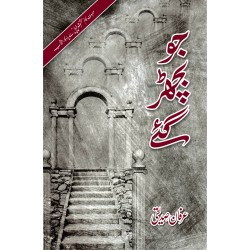 Jo Bichar Gay By Irfan Saddique - جو بچھڑ گئے