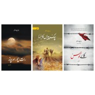 Set of 3 Novels of Balwant Singh