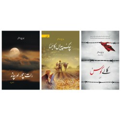 Set of 3 Novels of Balwant Singh
