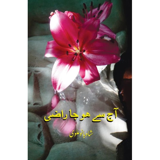 Aaj Say Ho Ja Raazi - آج سے ہوجا راضی