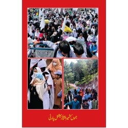 Ahtajaj Say Ikhtiar Tak - احتجاج سے اختیار تک - عوامی مزاحمت