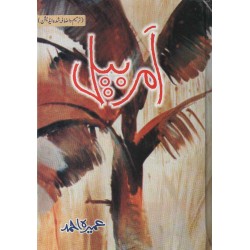 Amar Bail By Umera Ahmad - امر بیل