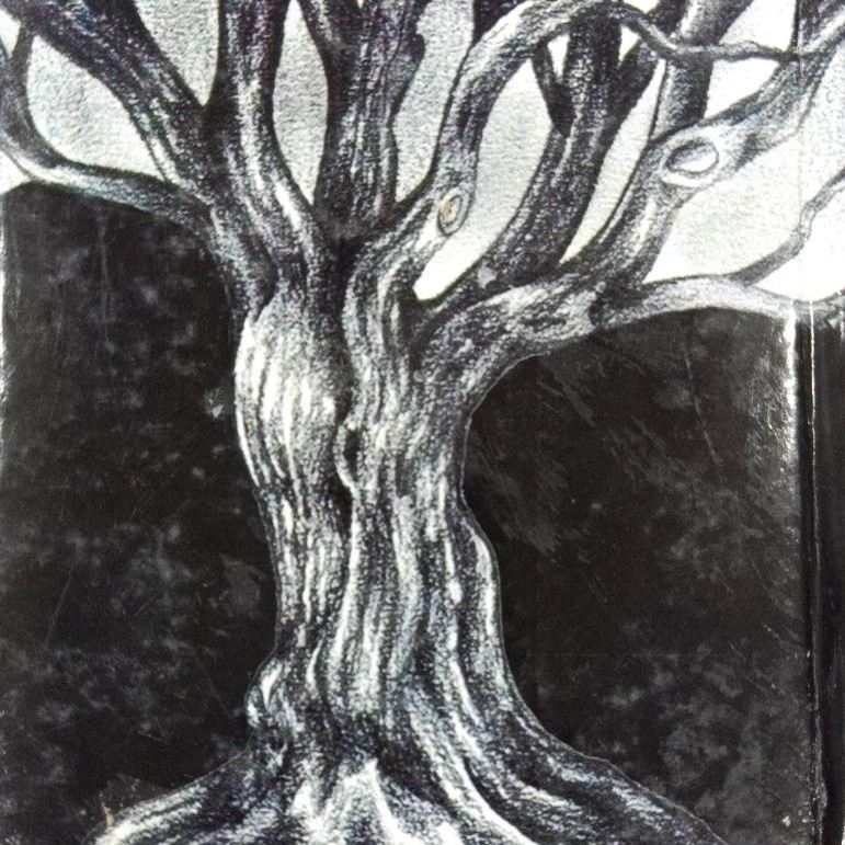 Andhera Aur Andhera By Shaukat Siddiqui | Books of Shokat Saddique