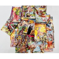 Anglo Banglo Series (Complete 29 Books) - آنگلو بانگلو مکمل سیٹ