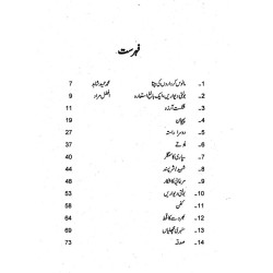 Bolti Dewarain - بولتی دیواریں - مختصر کہانیاں