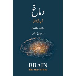 Damagh Ap Ki Kahani - دماغ آپ کی کہانی Damagh Ap Ki Kahani - دماغ آپ کی کہانی