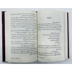 Dekha Jinhain Palat Kay - دیکھا جنہیں پلٹ کے (شخصی خاکے) Dekha Jinhain Palat Kay - دیکھا جنہیں پلٹ کے (شخصی خاکے)