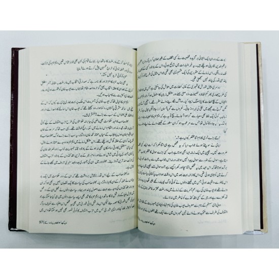 Dekha Jinhain Palat Kay - دیکھا جنہیں پلٹ کے (شخصی خاکے)
