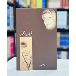 Galiyan Yad Nagar Ki - گلیاں یاد نگر کی Galiyan Yad Nagar Ki - گلیاں یاد نگر کی