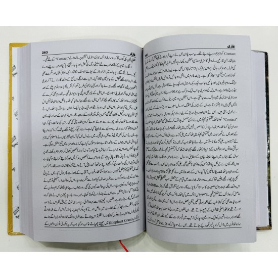 Ghazi By Abu Shuja Abu Waqar - غازی