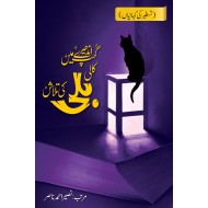 Ghup Andhery Main Kali Bili Ki Talash - گھپ اندھیرے میں کالی بلی کی تلاش