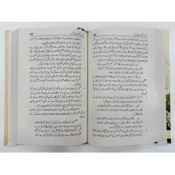 Great Game Ki Parchain - گریٹ گیم کی پرچھائیں (تقسیم ہند کی ان کہی کہانی) Great Game Ki Parchain - گریٹ گیم کی پرچھائیں (تقسیم ہند کی ان کہی کہانی)