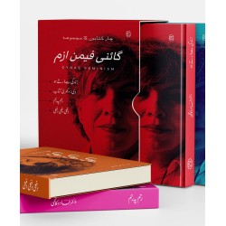 Gynae Feminism (Set Of 4 Books Of Tahira Kazmi) - گائنی فیمن ازم | چار کتابوں کا مجموعہ | زندگی سے ڈرتے ہو، وی وکھری کتاب، رحم پہ رحم، دفعی دفعی دفعی