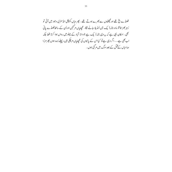 Kashmir Tasveer 1945 Ka Safarnama - کشمیر تصویر 1945 کا سفرنامہ