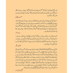 Khuda Ki Basti (Premium Edition) - خدا کی بستی