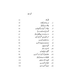 Mera Daghistan Jadeed - میرا داغستان جدید