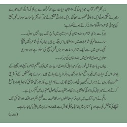 Mirabai - میرابائی