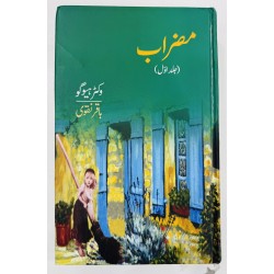 Mizrab (Complete Set) - مضراب
