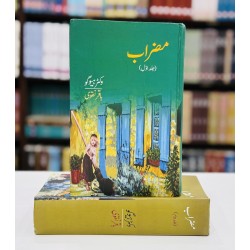 Mizrab (Complete Set) - مضراب