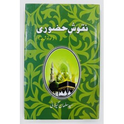 Nqosh e Hazori - نقوش حضوری (خودنوشت)