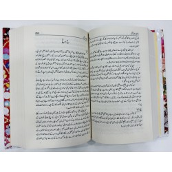 Rajput Qabail - راجپوت قبائل
