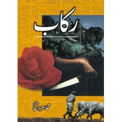Rakaab - رکاب Rakaab - رکاب