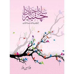 Sada Chiryan Da Chamba - ساڈاچڑیا دا چمبا Sada Chiryan Da Chamba - ساڈاچڑیا دا چمبا