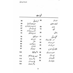 Salahud Din Ayubi By Rasheed Akhtar Nadvi - صلاح الدین ایوبی Salahud Din Ayubi By Rasheed Akhtar Nadvi - صلاح الدین ایوبی