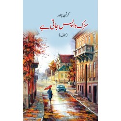 Sarak Wapis Jati Hay - سڑک واپس جاتی ہے