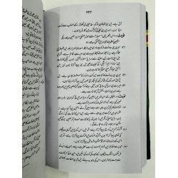 Sharah Payam e Mashriq By Prof. Yousaf Saleem Chishti - شرح پیام مشرق