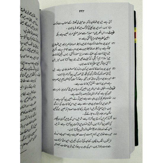 Sharah Payam e Mashriq By Prof. Yousaf Saleem Chishti - شرح پیام مشرق Sharah Payam e Mashriq By Prof. Yousaf Saleem Chishti - شرح پیام مشرق