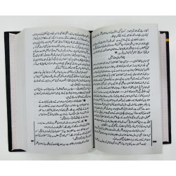 Sher e Khawarzam Sultan Jalaluddin Aur Tatari Yalghar - شیرخوارزم سلطان جلال الدین اور تاتاری یلغار Sher e Khawarzam Sultan Jalaluddin Aur Tatari Yalghar - شیرخوارزم سلطان جلال الدین اور تاتاری یلغار
