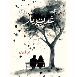 Shidat e Yaar (Complete Set) - شدت یار