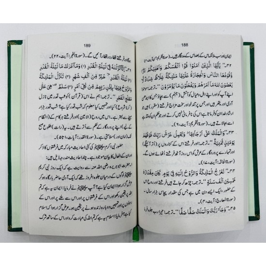 Sir Syed Bay Hajab - سرسید بے حجاب